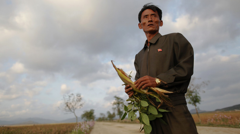 Rotes Kreuz warnt vor neuer Hungersnot in Nordkorea - Ende der Sanktionen nicht in Sicht