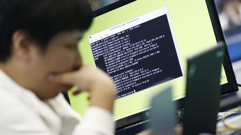 Elfjährige Hackerin offenbart: US-Wahlinfrastruktur kinderleicht zu durchbrechen (Video)