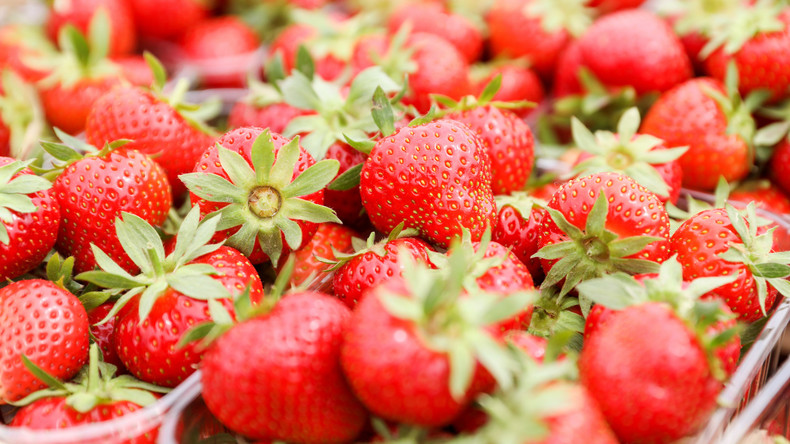 Gefährliche Früchte: Australische Polizei nimmt Verdächtigen wegen Nadeln in Erdbeeren fest