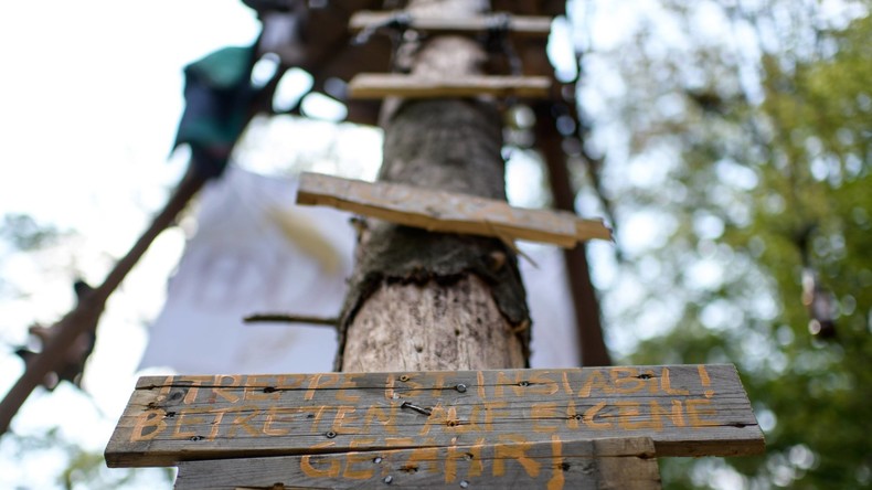 NRW-Landesregierung setzt Räumung im Hambacher Forst vorerst aus