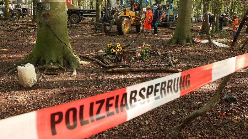 Räumung im Hambacher Forst geht weiter – Gegner demonstrieren friedlich