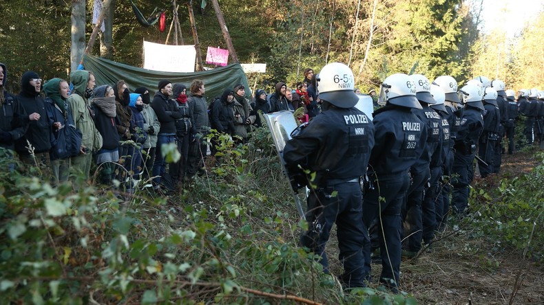 Baumhäuser im Hambacher Forst geräumt – RWE bereitet Rodung vor