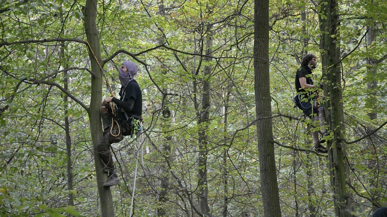 Aktivisten bauen im Hambacher Forst neue Baumhäuser