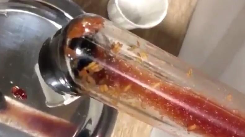 McMaden-Ketchup mit extra Protein: Zappelnde Larven im Ketchupspender bei McDonald's (Video)