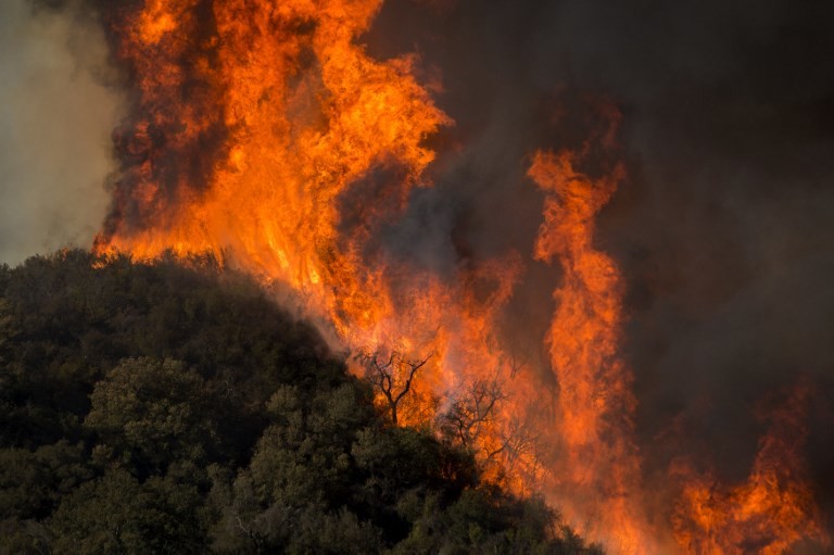 Weitere Tote durch Waldbrände in Kalifornien – Behörden verlängern Notstand