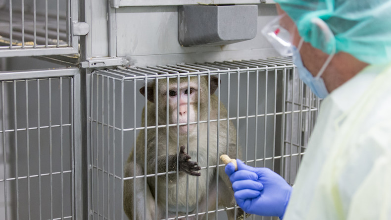 Traurige Bilanz: Rund 2,8 Millionen Tiere bei Tierversuchen benutzt oder getötet