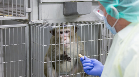 Traurige Bilanz: Rund 2,8 Millionen Tiere bei Tierversuchen benutzt oder getötet