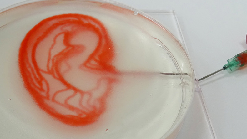 Forscher züchten erstmals menschliche Blutgefäße in Petrischale 