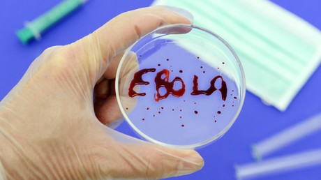 Ebola-Erreger erstmals in Fledermaus in Westafrika entdeckt (Symbolbild)
