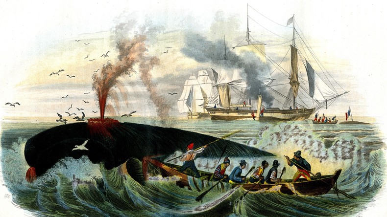 Australische Archäologen entdecken alte Gravuren von US-Walfängern