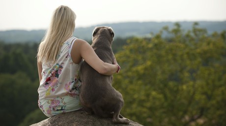 Dating hunde