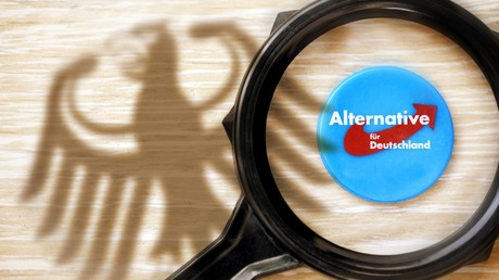 Gericht: Verfassungsschutz darf AfD nicht als "Prüffall" bezeichnen