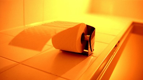 US-Bürger spülen Kanadas Wälder die Toilette hinunter