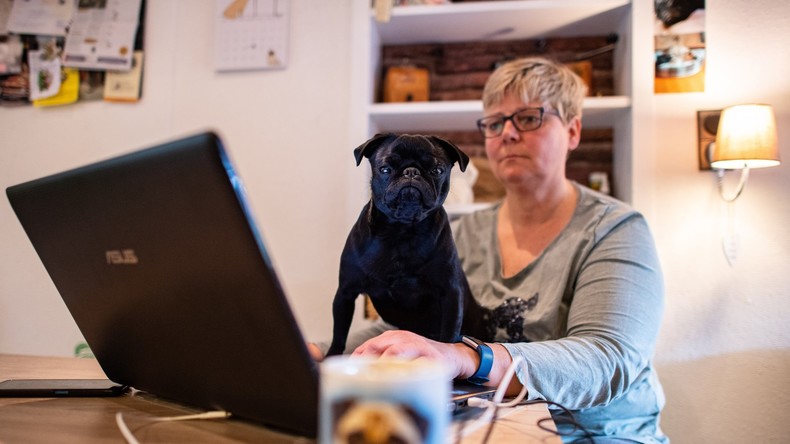 Mops gepfändet und über Ebay verkauft: Gutachten entlastet Stadtverwaltung, aber neuer Ärger droht