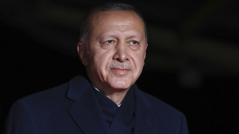 Studie zu Erdoğan-Regierung: Präsidialsystem doch nur Pyrrhussieg?