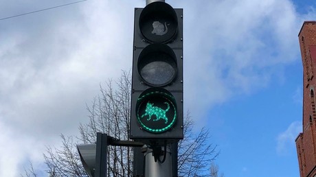 Russische Touristenstadt stellt Ampel mit Kätzchen-Motiven auf