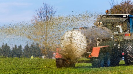 Stinkt gewaltig: Bauern verjagen Partylöwen mit Gülle vom Feld