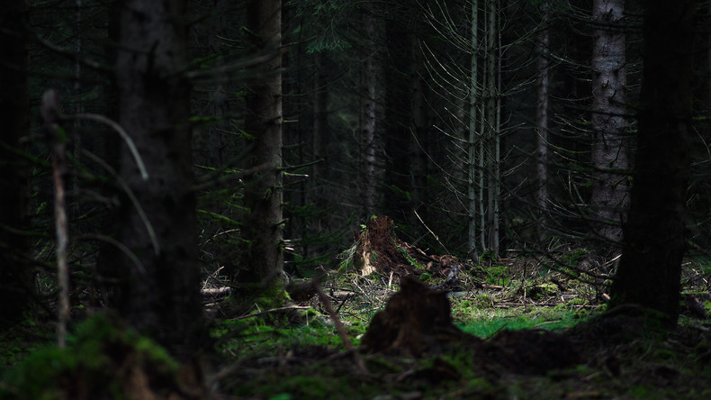 Mutmaßlicher Houdini-Nachahmer im Wald bei Moskau tot entdeckt – Skelett an Baum angekettet