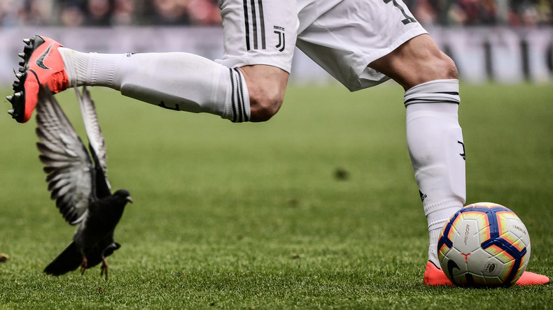 Treffer in luftiger Höhe: Fußball erwischt Vogel über Stadion – Taube fliegt nach Aufprall weiter