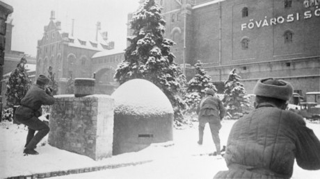 Licht und Schatten: Historiker Stefan Karner zur Rolle der Roten Armee im Zweiten Weltkrieg (Video)