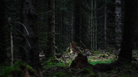 Mutmaßlicher Houdini-Nachahmer im Wald bei Moskau tot entdeckt – Skelett an Baum angekettet