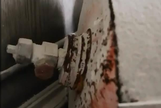 Giftgaseinsatz in Duma: Geleakter "interner" OPCW-Bericht spricht für Inszenierung