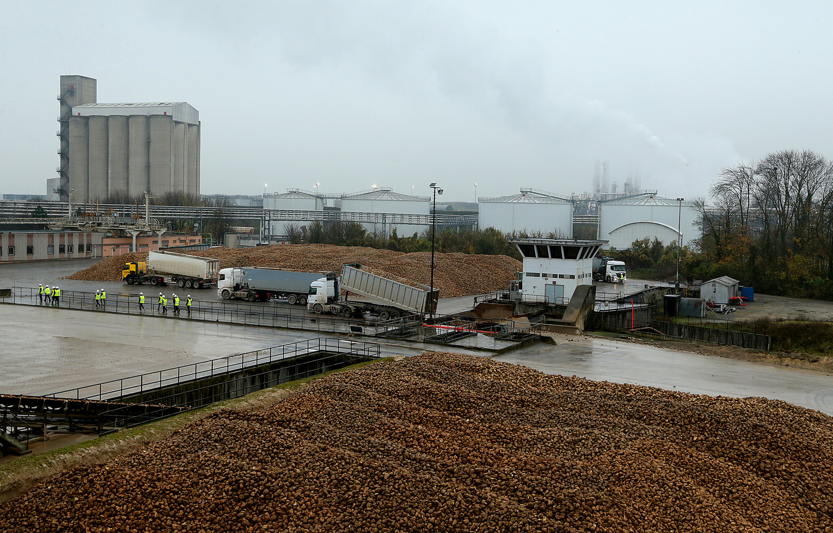 Liberalisierung des Zuckerrübensektors durch EU-Kommission hat fatale Folgen für Bauern in der EU