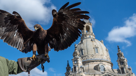 Haarsträubendes Fotoshooting: Mädchen flieht verzweifelt vor Adlerkrallen – Erwachsene schmunzeln