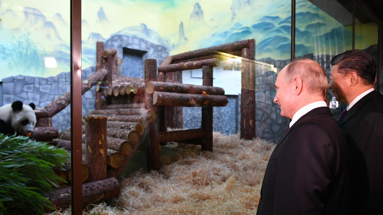 Putin und Xi Jinping heißen Pandabär-Pärchen im Moskauer Zoo Willkommen