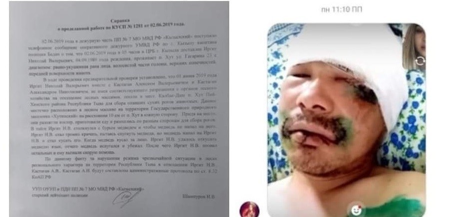 Einmal in Sibirien: Mann beißt Bären Zunge ab und überlebt Attacke des Tieres