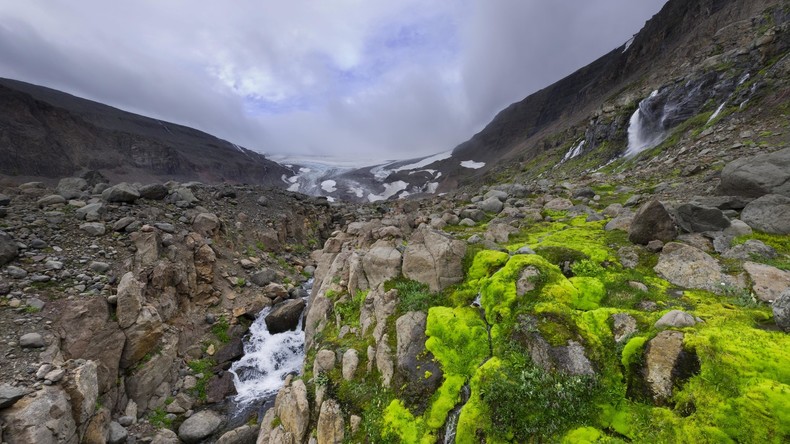 Nach 40.000 Jahren im Permafrost: Uralte Lebensformen der Erde erwachen zu neuem Leben