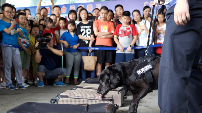 China: Etwa 100 Drogenbanden auf Hainan in erster Hälfte des Jahres 2019 zerschlagen