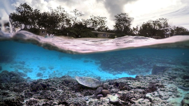 Extremwetter schädigt australische Korallen, Mangroven und Seegras