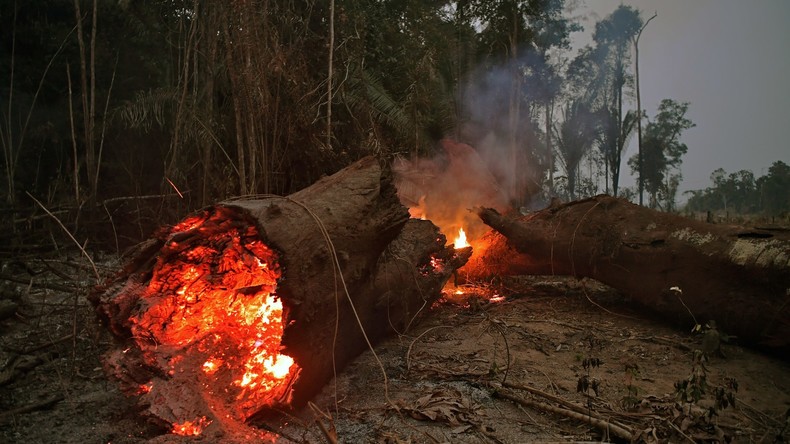 Soldaten bekämpfen Flammen im brasilianischen Regenwald