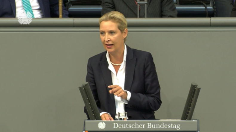 AfD-Vorsitzende Weidel Zur Bundesregierung: "Sie Ruinieren Deutschland ...