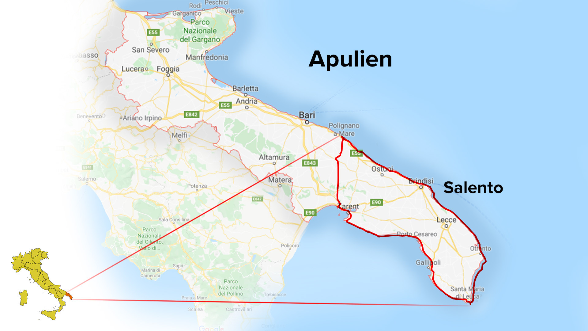 Das Sterben der Oliven: Wie das Bakterium Xylella fastidiosa Italiens Süden zerstört