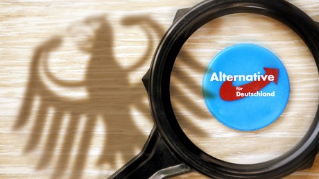 Rückkehr der Berufsverbote? Innenminister debattieren Beamtenstatus von Anhängern des AfD-"Flügels"
