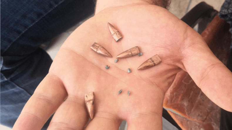 Mit scharfer Munition in den Kopf geschossen: Britische Forensiker widersprechen israelischer Armee