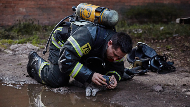 Niemand Bleibt Zurück Feuerwehrmann Rettet Katze Nach