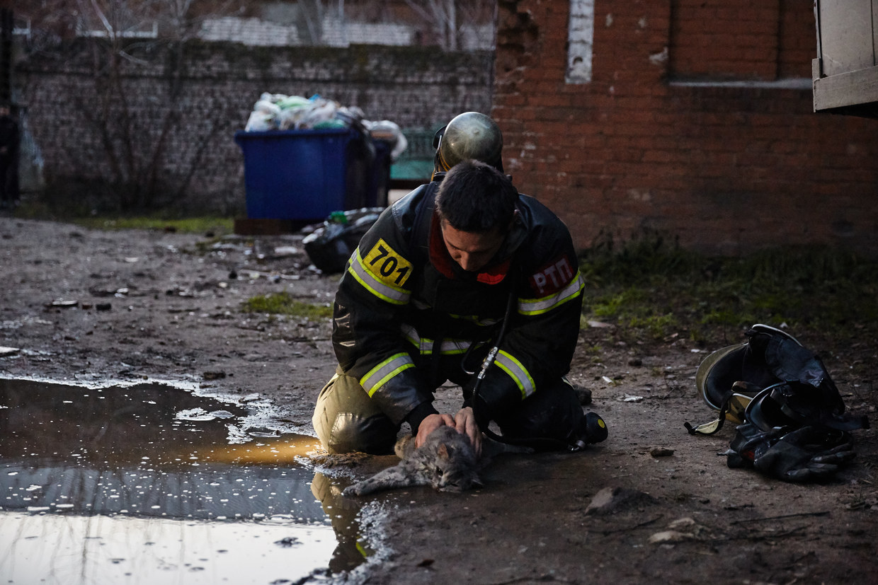 Niemand bleibt zurück: Feuerwehrmann rettet Katze nach Rauchvergiftung vor dem Tod