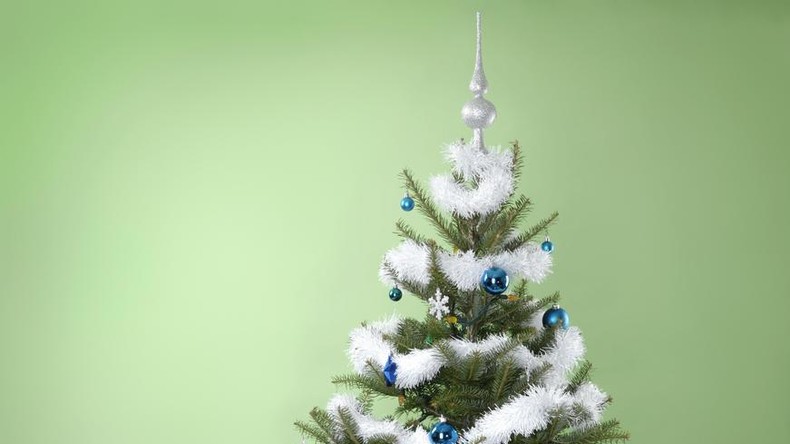 Weihnachtsbaumschmuck einmal anders: Schlängelnde Girlande überrascht Paar in Australien