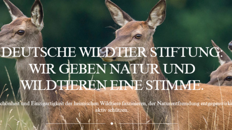 Wildtier-Stiftung feuert Vorstand – weil er nicht an die Klimakatastrophe glaubt