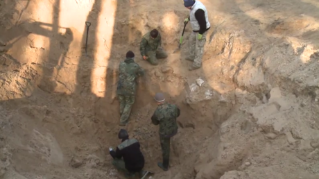 Polen: Überreste eines sowjetischen Bombers aus Zweiten Weltkrieg im Wald entdeckt