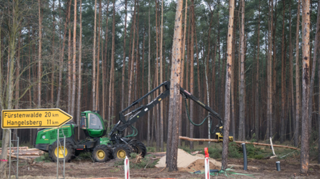 Oberverwaltungsgericht stoppt Rodung für Tesla-Werk in Grünheide