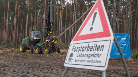 "Wir sind optimistisch": Wirtschaftsminister Altmaier zum Bau von Tesla-Werk nach Rodungsstopp