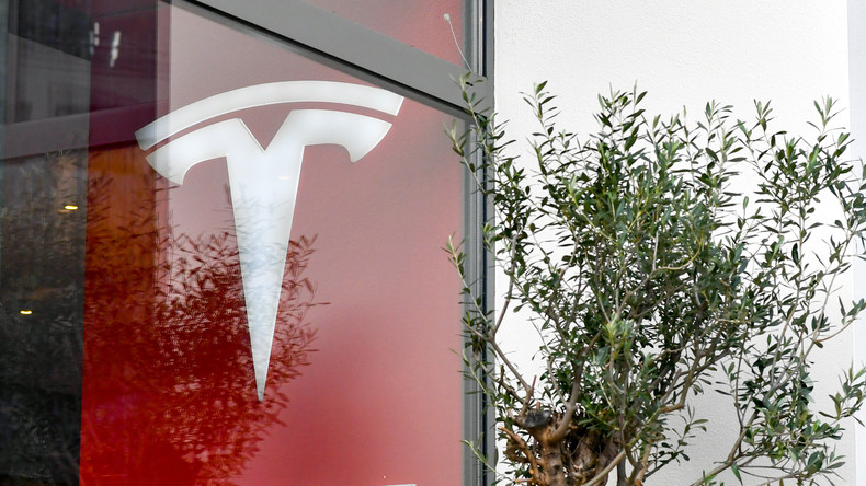 Tesla-Fabrik in Brandenburg: Rund 360 Beschwerden gegen den Bau eingereicht