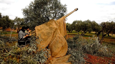 Syrien: Angriffe protürkischer Islamisten in Idlib gehen laut Moskau zurück