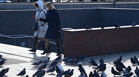 Russland: Duma-Abgeordnete fordern Zufluchtsorte für Opfer häuslicher Gewalt während Quarantäne
