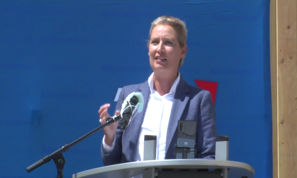 Deutschland: AfD protestiert in Stuttgart gegen Coronavirus-Einschränkungen