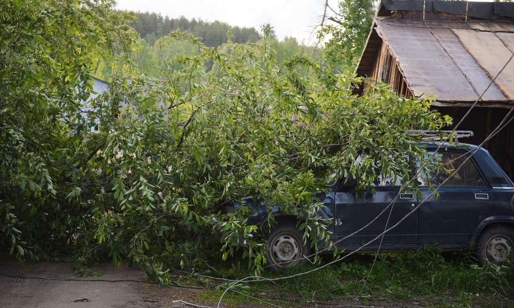 Drei Tote nach Orkan in russischer Stadt Jekaterinburg